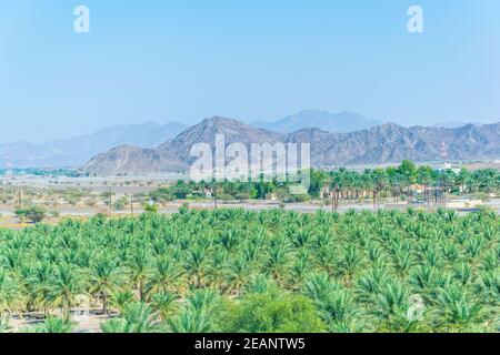 Paysage du pays d'Oman au château de Jabrin à ad Dahiliyah, Oman Banque D'Images