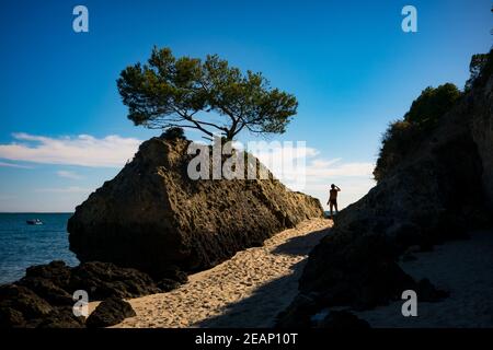 silhouette d'homme et arbre sur la plage Banque D'Images