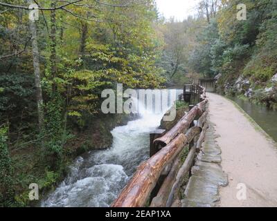 Magnifique paysage avec beaucoup d'eau et de forêts de végétation, cascades rivières Banque D'Images