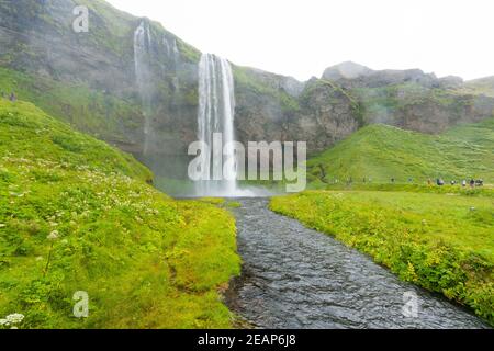 Seljalandsfoss chute en été vue, Islande Banque D'Images