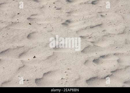 Aterns et empreintes de pas dans le sable sur la plage de Sanibel à Floride Banque D'Images