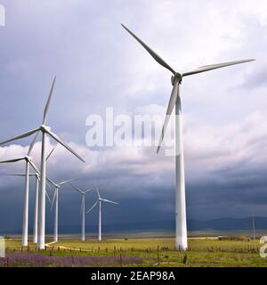 Éoliennes Banque D'Images