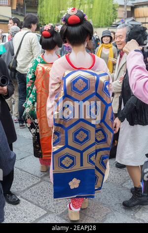 Kyoto Japon Shinbashi District au printemps: Deux femmes vêtues de Geisha sur Shirakawa Dori marche sous Sakura, ou les cerisiers en fleurs. Banque D'Images