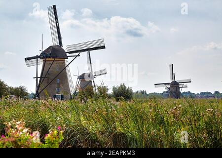 Moulins à vent dans les plaines hollandaises Banque D'Images