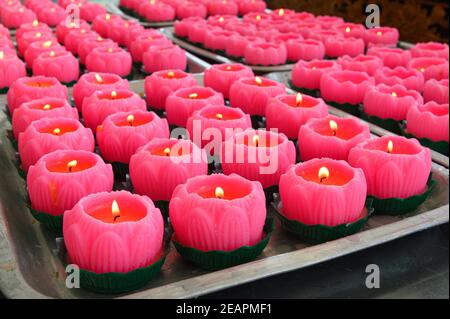 Bougies roses brûlantes au temple de la Déesse de Mercy in Kuala Lumpur Banque D'Images