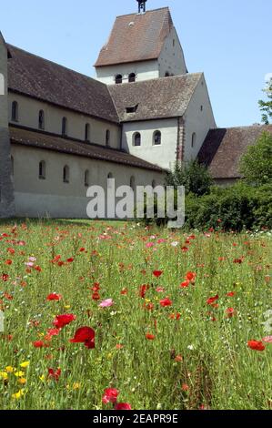 Blumenwiese, Klostergarten Marienmuenster Banque D'Images