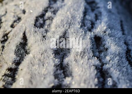 Givre sur la surface du tronc de l'arbre Banque D'Images
