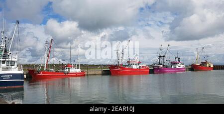 Krabbenkutter, Hafen, Havneby, Roemoe Banque D'Images