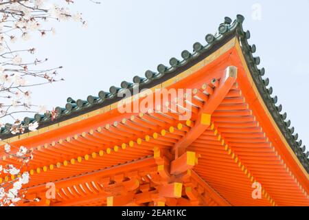Kyoto Japon cerisiers en fleurs, ou Sakura au sanctuaire Heian Jingu Banque D'Images