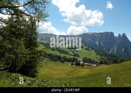 Schlern, Seiser, Alm, Dolomiten Banque D'Images