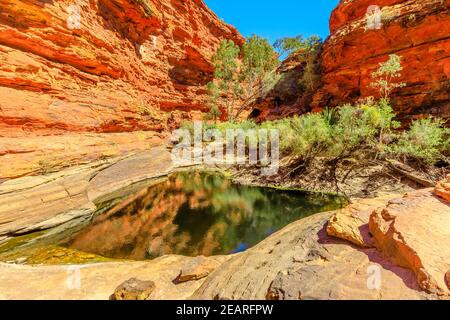 Paysage pittoresque de trou d'eau dans le jardin d'Eden, Kings Canyon dans le parc national de Watarrka. La piscine naturelle est un refuge pour de nombreuses plantes et animaux Banque D'Images