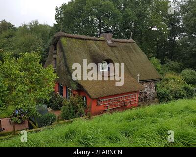 Reetdachhaus, Haus, Niedersachsen, Altes Haus, Banque D'Images