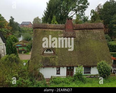 Reetdachhaus, Haus, Niedersachsen, Altes Haus, Banque D'Images