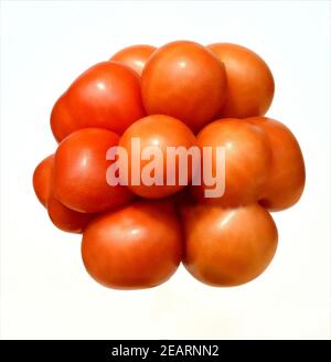 Reisetomate, tomate, Lycopersicon esculentum, Banque D'Images