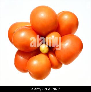 Reisetomate, tomate, Lycopersicon esculentum, Banque D'Images