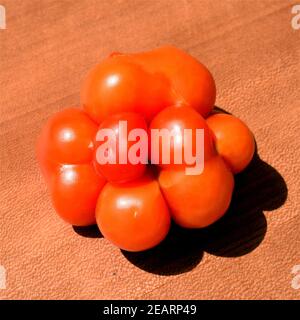 Reisetomate, tomate, Lycopersicon esculentum, Banque D'Images