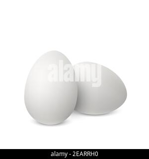 Oeufs réalistes blancs vectoriels. Deux œufs de poulet isolés avec des ombres douces sur fond blanc. Illustration 3D Illustration de Vecteur