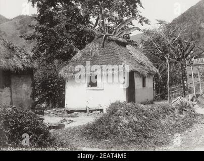 Photo de la fin du XIXe siècle : petite maison de chaume sur le Rio Cobre, Jamaïque, Antilles Banque D'Images