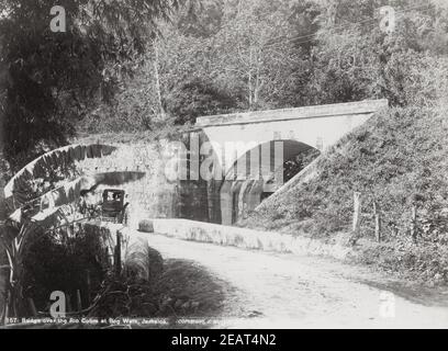 Photographie de la fin du XIXe siècle : pont sur la rivière Cobre, promenade de la tourbière, Jamaïque, Antilles Banque D'Images