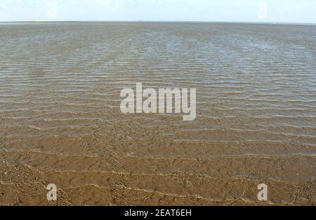 Nordseekueste ; Wattenmeer, Landschaft, Friedrichskoog Banque D'Images