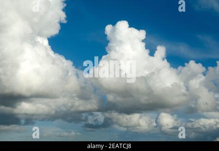 Wolken, Blau Konvektionswolken Blauer Himmel Banque D'Images