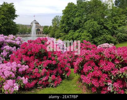 Kurpark, Wiesbaden Banque D'Images