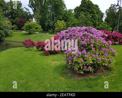 Kurpark, Wiesbaden Banque D'Images