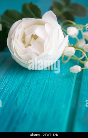 Un petit bouquet de rose blanche et de nénuphars de la vallée sur fond de sarcelle en bois, bleu ou turquoise, la Saint-Valentin, la fête des mères ou le concept de mariage Banque D'Images