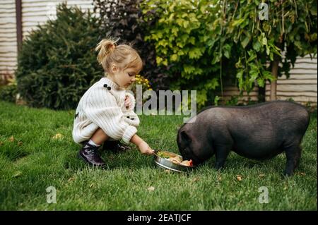 Enfant nourrit le porc noir dans le jardin, prenant soin des animaux Banque D'Images