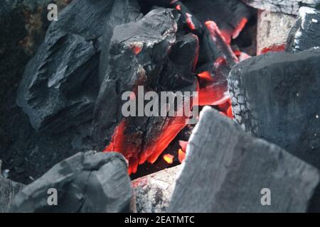 Feu sur les bûches dans la casserole de feu avec des braises et le charbon en feu et des flammes flamboyantes. Banque D'Images