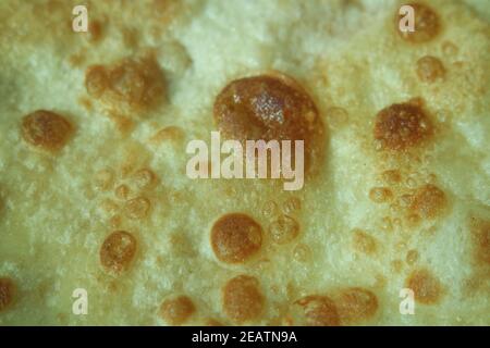 Vue rapprochée du pain nu fait à la main dans de l'huile appelée paratha roti. Banque D'Images