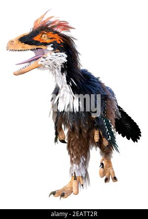 Rendu 3D Dinosaur Deinonychus sur blanc Banque D'Images