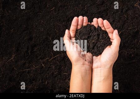 femme main tenant compost fond fertile de sol noir Banque D'Images