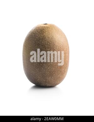 Kiwi entier isolé sur fond blanc. Banque D'Images