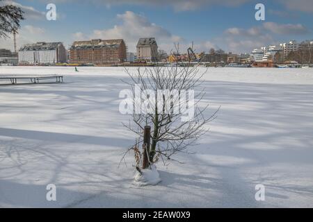 Vereiste Havel, Insel Eiswerder, Haselhorst, Spandau, Berlin, Allemagne Banque D'Images