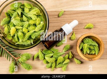 Petit flacon de pipette en verre avec teinture d'huile pour pousses d'épicéa concept, l'aiguille d'épinette verte fraîche pousse des pointes sur fond de bois dans un bol. Studio. Banque D'Images