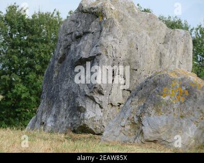 belle pierre naturelle avec un visage de lion ou quelque chose comme que sans être une sculpture Banque D'Images