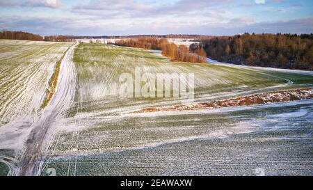 Hiver champ agricole sous la neige. Scène aérienne. Décembre Paysage rural. Route de campagne Banque D'Images