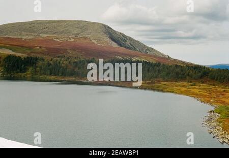 la rivière est parmi les montagnes et les forêts de l'Altaï. Nature de l'Altaï Banque D'Images