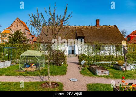 Ferme au musée en plein air de Kulturen à Lund, en Suède Banque D'Images