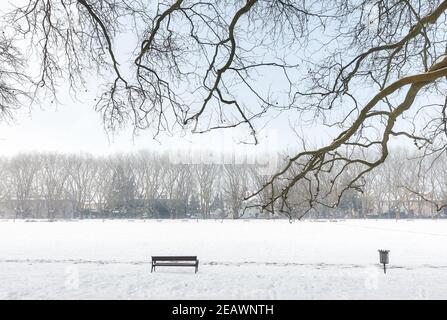 Parc Jan Kasprowicz en hiver, Szczecin, Pologne. Banque D'Images