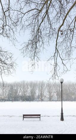 Parc Jan Kasprowicz en hiver, Szczecin, Pologne. Banque D'Images