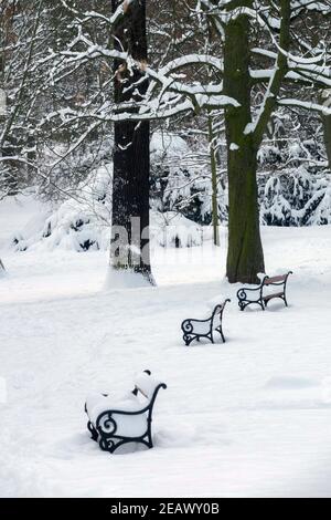Bancs de parc couverts de neige Banque D'Images