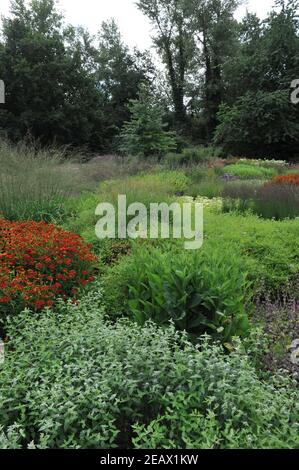 HAMM, ALLEMAGNE - 15 AOÛT 2015 : plantation dans un style de prairie vivace conçu par Piet Oudolf dans le jardin jardin d'art du parc public Maximilianpark Banque D'Images