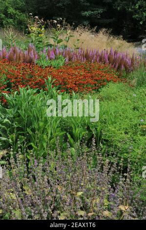 HAMM, ALLEMAGNE - 15 AOÛT 2015 : plantation dans un style de prairie vivace conçu par Piet Oudolf dans le jardin jardin d'art du parc public Maximilianpark Banque D'Images