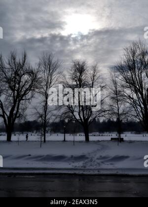 Soleil blanc de la fin de l'après-midi à travers les nuages au-dessus de quelques arbres sans feuilles au bord du lac Dow, Ottawa, Ontario, Canada. Banque D'Images