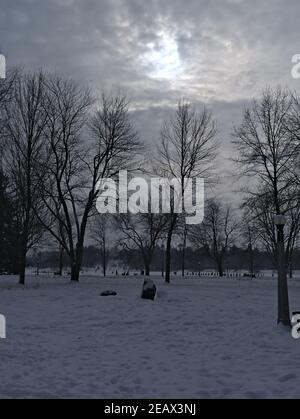 Soleil blanc de la fin de l'après-midi à travers les nuages au-dessus de quelques arbres sans feuilles au bord du lac Dow, Ottawa, Ontario, Canada. Banque D'Images