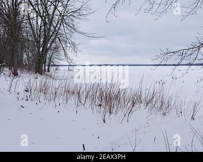 Magnifique paysage d'hiver canadien surgelé au bord de la rivière des Outaouais à l'île Petrie, Ottawa (Ontario), Canada. Banque D'Images