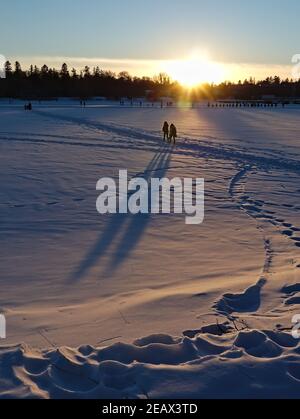 Les patineurs au coucher du soleil traversent le lac enneigé pour atteindre la patinoire labourée du lac Dow pendant le Bal de neige. Ottawa, Ontario, Canada. Banque D'Images