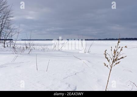 Magnifique paysage d'hiver canadien surgelé au bord de la rivière des Outaouais à l'île Petrie, Ottawa (Ontario), Canada. Banque D'Images